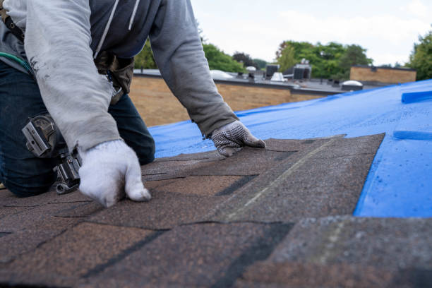 Best Roof Gutter Cleaning  in Rawls Springs, MS